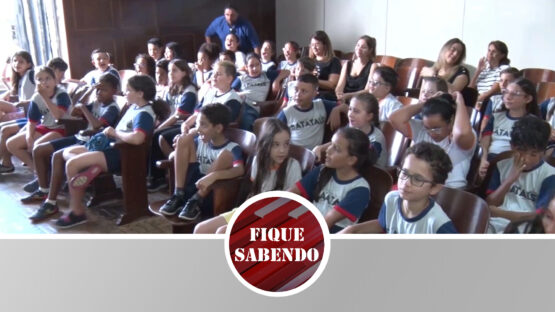 Concurso de redação com tema na dengue