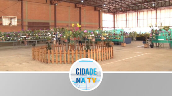 Batatais sediou Exposição Nacional de Orquídeas