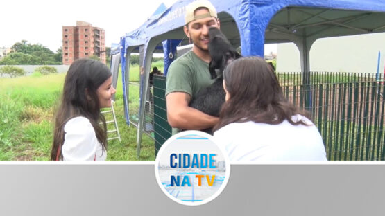Feira de Adoção tem balanço positivo
