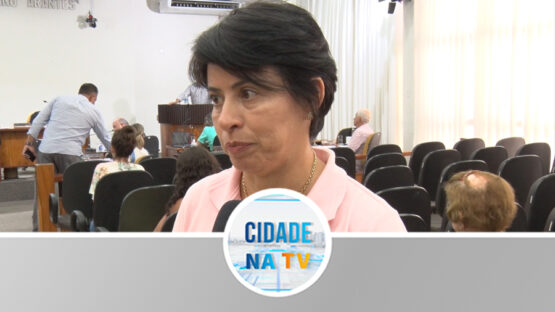 Audiência Pública sobre a Energia Elétrica