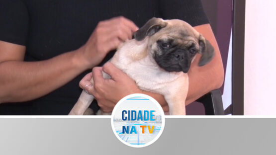 Campanha de ajuda para cão doente