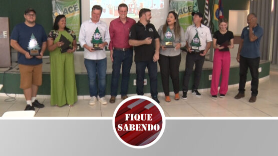Premiação pelos enfeites natalinos 2024