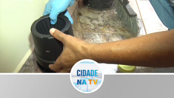Novidade no combate a dengue