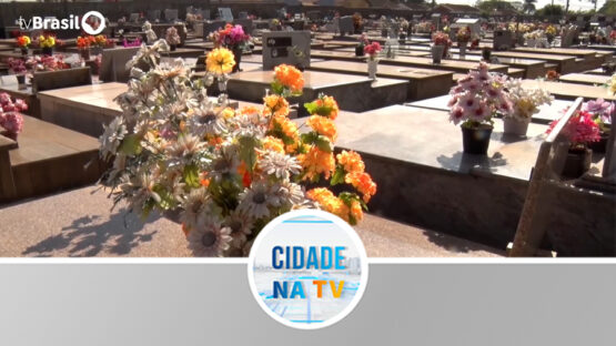 Cuidados com os cemitérios no dia dos pais