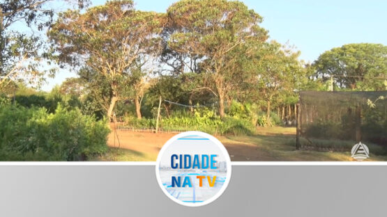 Evento em comemoração ao Dia da Árvore