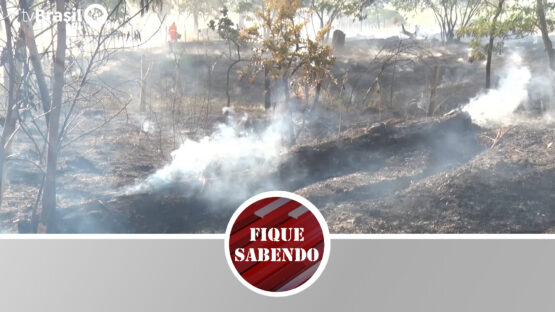 População em risco com incêndios em Batatais