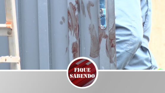 Ataque de Pitbull quase termina em tragédia.