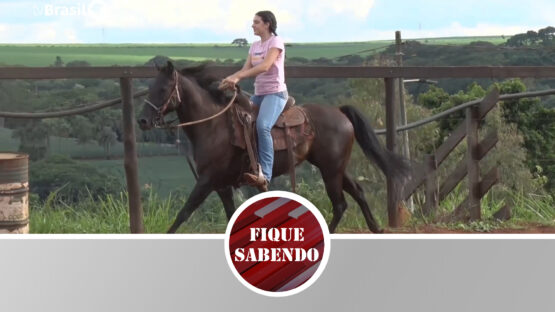 Equitação gratuita à disposição da comunidade.