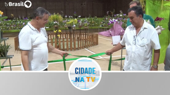 Exposição de Orquídeas
