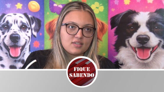 Abandonos e outros maus tratos animal