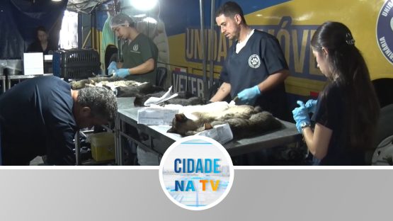 Ação do Castramóvel em Batatais SP